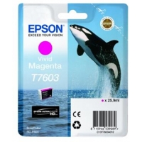 Epson T7603 Magenta Tinta Original C13T76034010