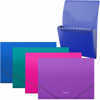 Erichkrause Pack de 4 Clasificadores Matt Vivid, 12 Fundas, A4, Colores Surtidos