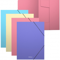 Erichkrause Pack de 4 Carpetas Solapas Matt Pastel, A4, Colores Surtidos