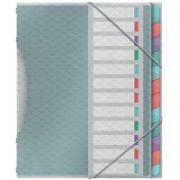 Clasificador A4 con 12 Pestañas Esselte Colour'Breeze con solapas