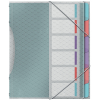 Clasificador A4 con 6 Pestañas Esselte Colour'Breeze con solapas