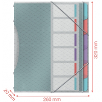 Clasificador A4 con 6 Pestañas Esselte Colour'Breeze con solapas